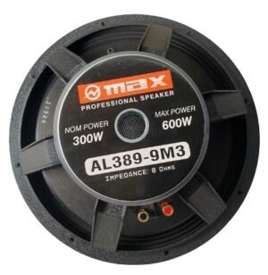 Speaker Max 300W to 600W 8Ohm